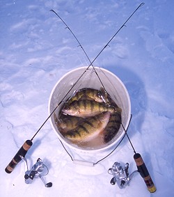 Ice-Fishing Game Plan for More Panfish – Spence Petros