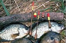 Bobber Fishing: The Waggler Rigged Bobber - PANFISH - Rambling Angler